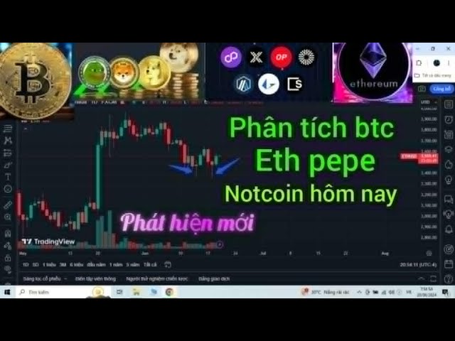 오늘의 최신 비트코인 ​​뉴스, 최신 eth etf 뉴스, 오늘의 암호화폐 시장