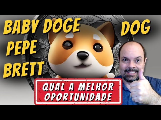 최고의 기회 BABY DOGE + DOG + BRETT + DEGEN + PEPE