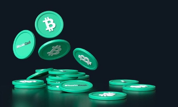 Is BCH coin worth investing? Understand the future prospects of BCH coin in one article