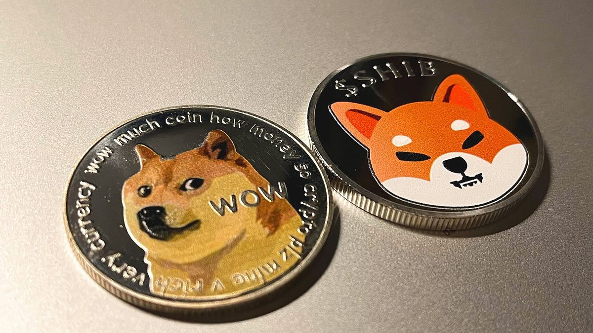 Was sind Elon Musks Kritikpunkte an Bitcoin bzw. Dogecoin?