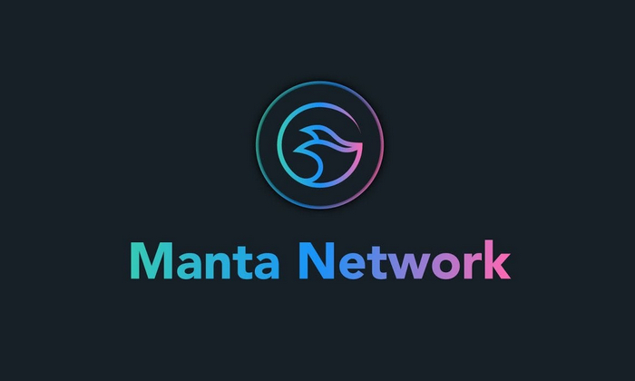 MANTA 코인에 잠재력이 있나요?