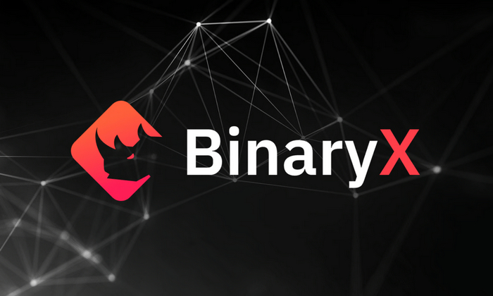 购买 BinaryX 币的方式有哪些？