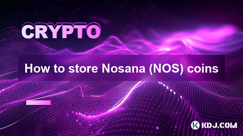 如何存储 Nosana (NOS) 硬币