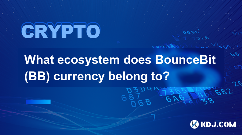 BounceBit（BB）币属于什么生态系统？