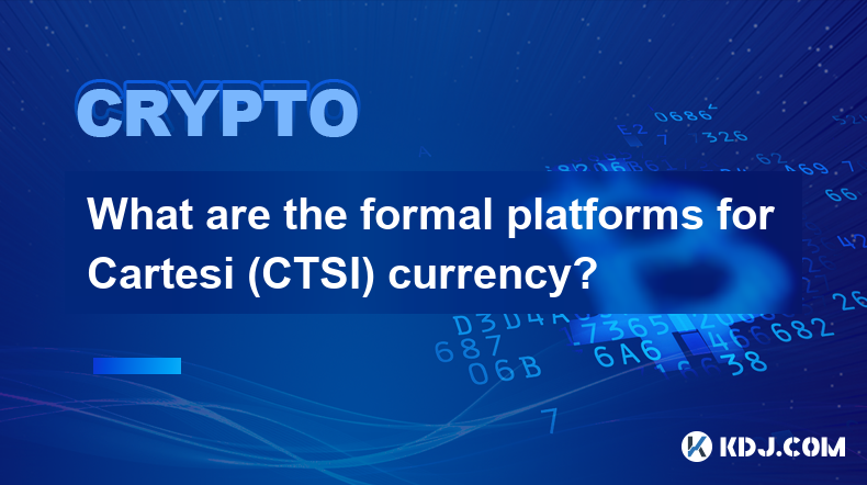 Cartesi (CTSI) 通貨の正式なプラットフォームは何ですか?