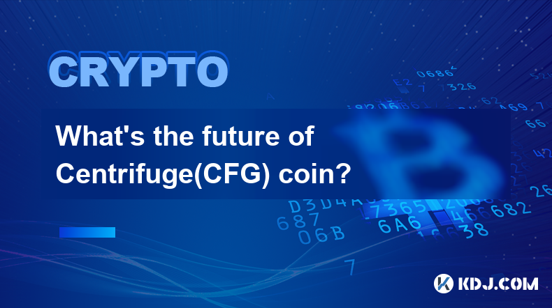 Centrifuge(CFG)币的未来是什么？