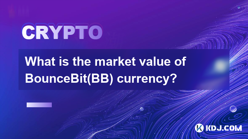 BounceBit(BB)货币的市场价值是多少？