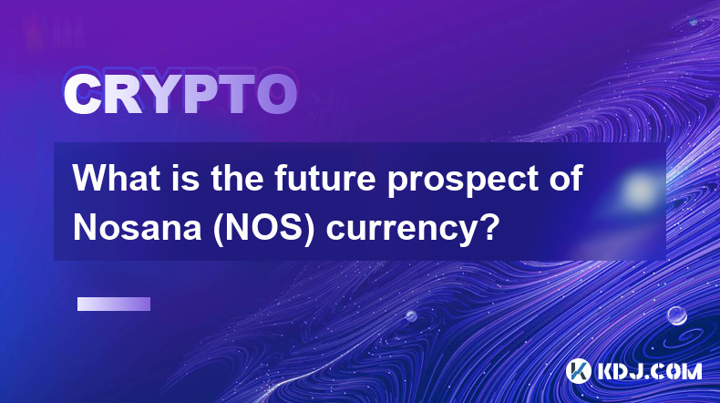 Nosana（NOS）货币的未来前景如何？