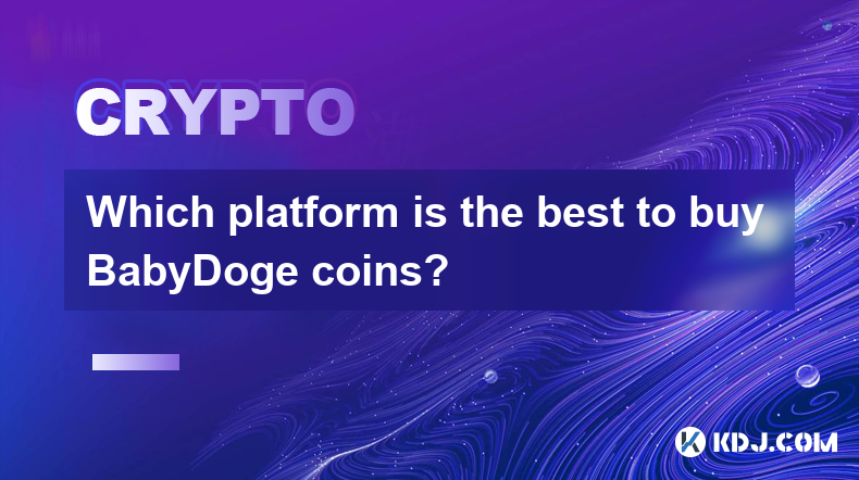 Which platform is the best to buy BabyDoge coins?