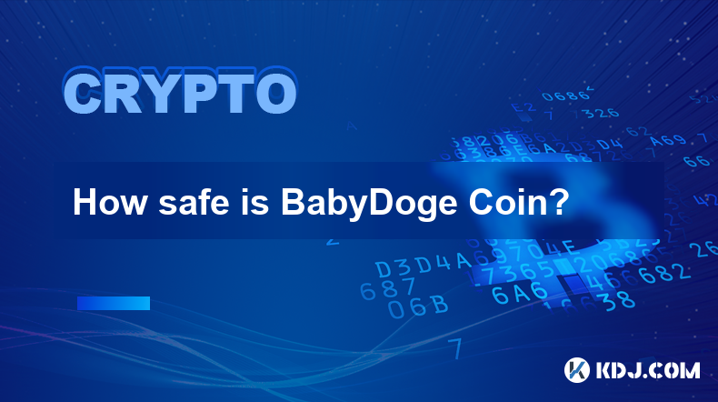 Wie sicher ist BabyDoge Coin?