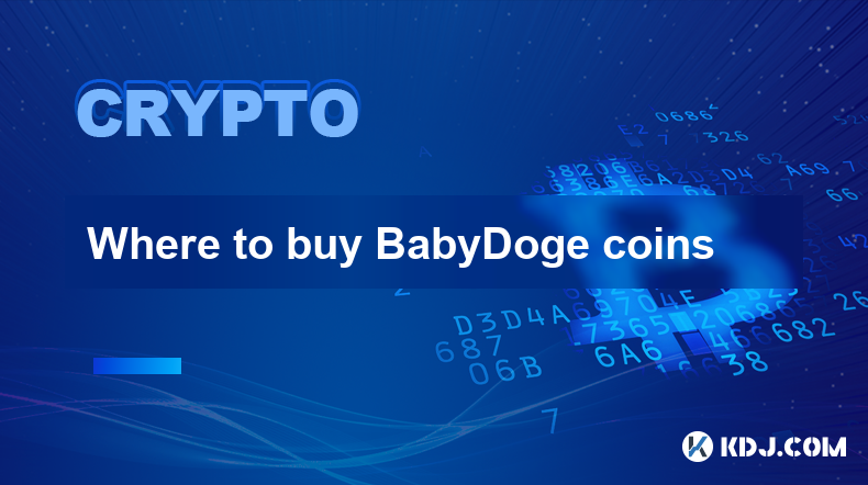 哪裡購買 BabyDoge 硬幣