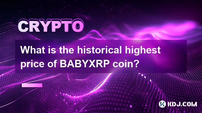 Was ist der historisch höchste Preis der BABYXRP-Münze?