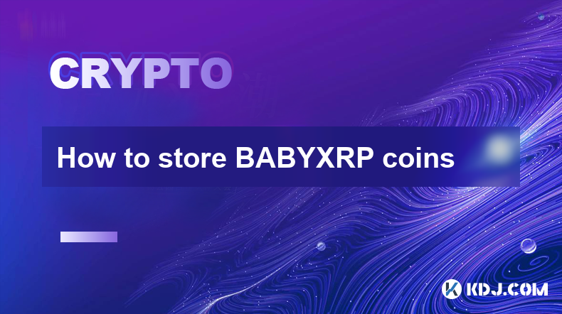 如何存储 BABYXRP 币