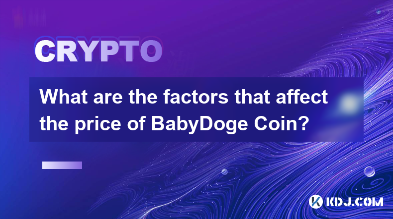 Quels sont les facteurs qui affectent le prix du BabyDoge Coin ?