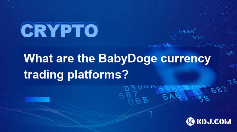 BabyDoge币币交易平台有哪些？