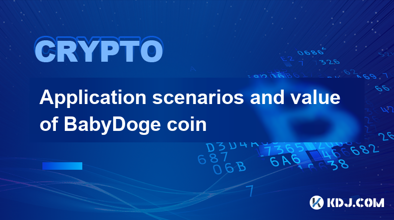 Application scenarios and value of BabyDoge coin