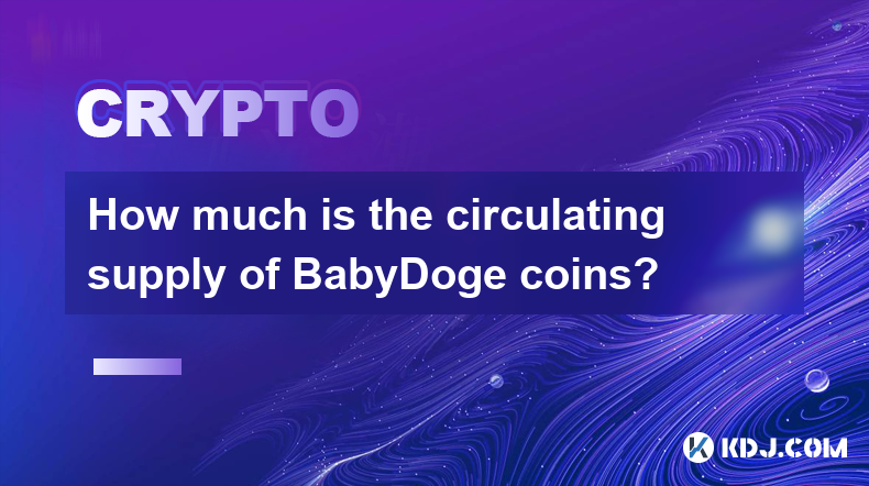 BabyDoge 코인의 유통량은 얼마인가요?