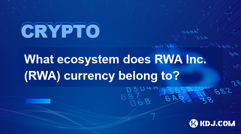 RWA Inc.（RWA）貨幣屬於什麼生態系？