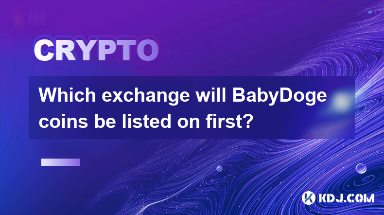 BabyDoge コインはどの取引所に最初に上場されますか?