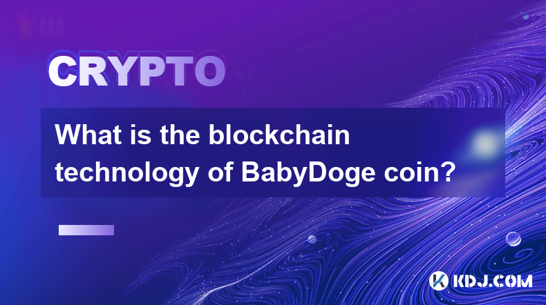 BabyDogeコインのブロックチェーン技術とは何ですか?