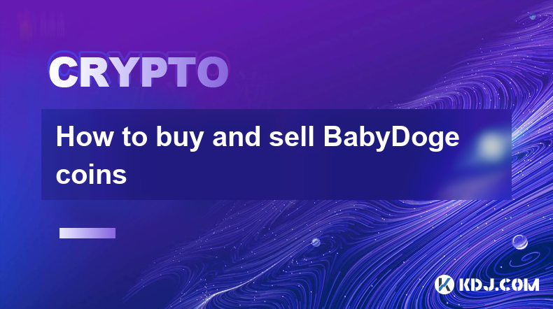 如何購買和出售 BabyDoge 硬幣