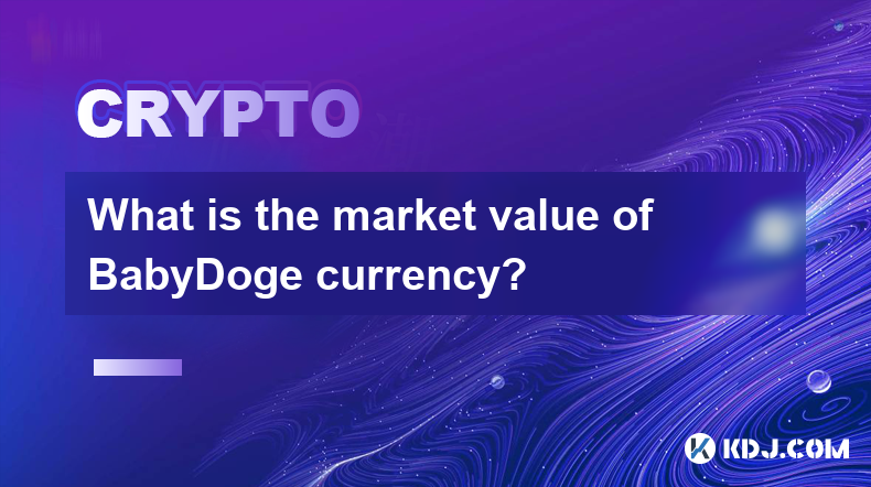 BabyDoge 通貨の市場価値はいくらですか?