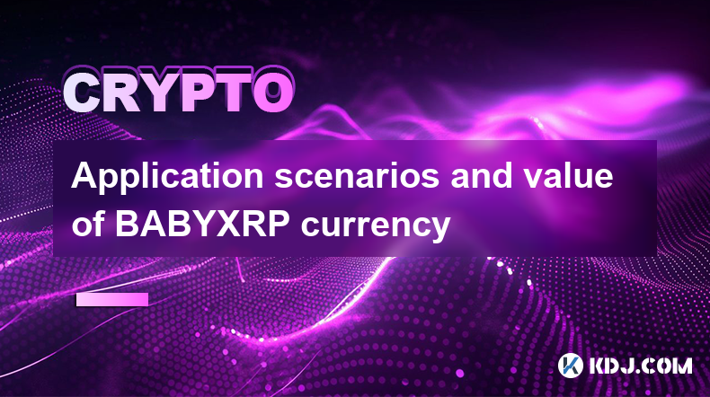 BABYXRP币的应用场景及价值