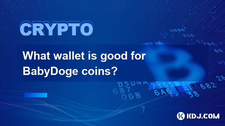 What wallet is good for BabyDoge coins?