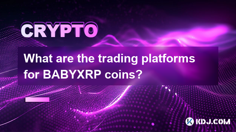 BABYXRP 코인의 거래 플랫폼은 무엇입니까?