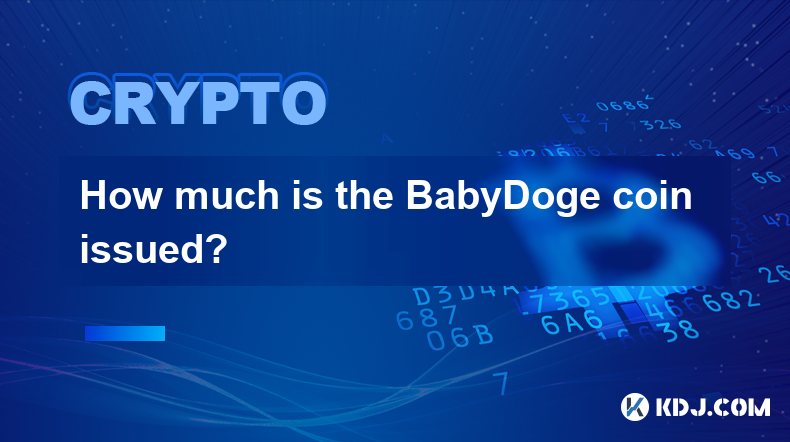 How much is the BabyDoge coin issued?