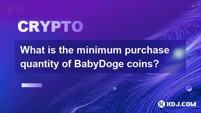 BabyDoge 코인의 최소 구매 수량은 얼마인가요?