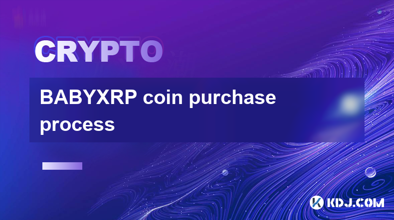 Processus d'achat de pièces BABYXRP