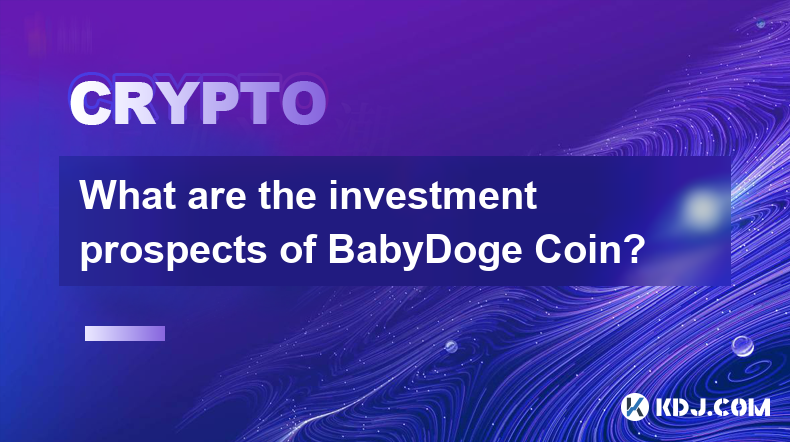 BabyDoge Coin的投資前景如何？