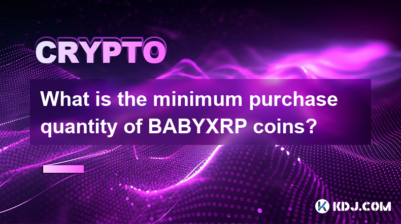 Quelle est la quantité minimale d’achat de pièces BABYXRP ?