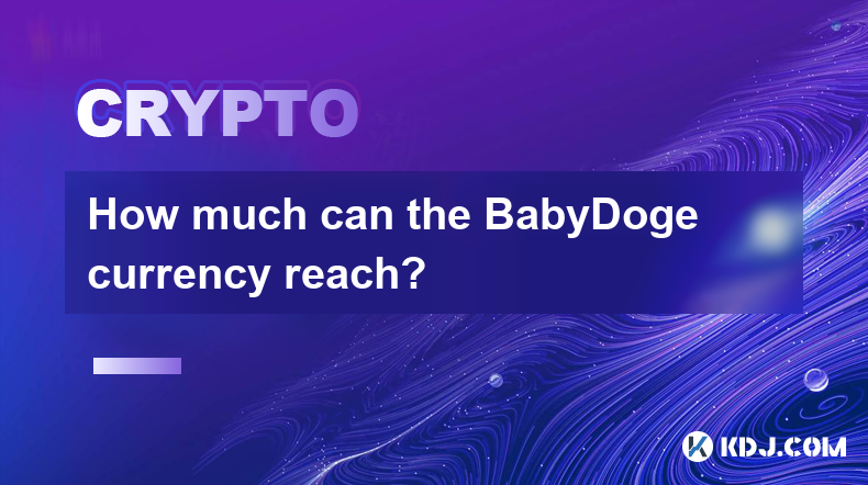 Jusqu’où la devise BabyDoge peut-elle atteindre ?