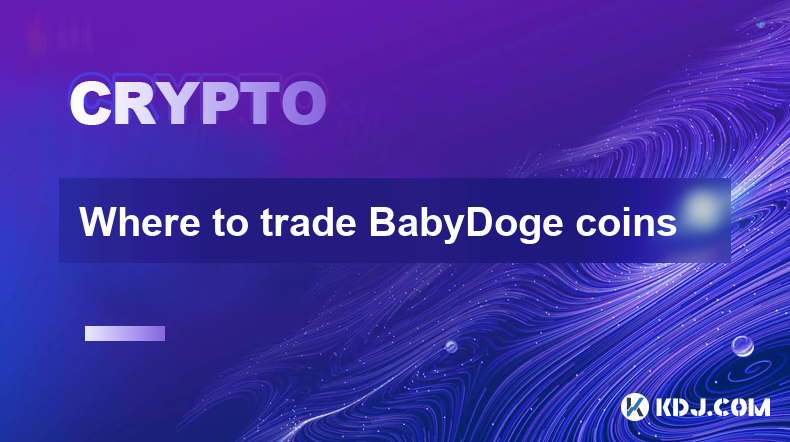 BabyDoge 幣在哪裡交易