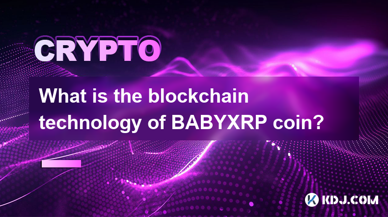 BABYXRPコインのブロックチェーン技術とは何ですか?