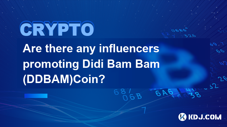 有影响者推广 Didi Bam Bam (DDBAM)Coin 吗？