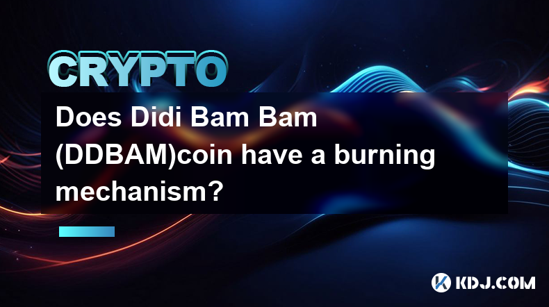 Didi Bam Bam(DDBAM)코인에는 소각 메커니즘이 있나요?