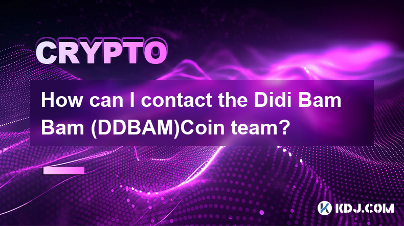 Wie kann ich das Didi Bam Bam (DDBAM)Coin-Team kontaktieren?