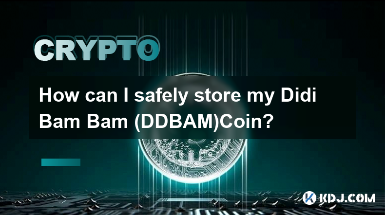 如何安全儲存我的 Didi Bam Bam (DDBAM)Coin？