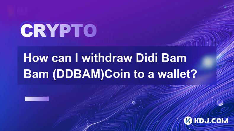 如何將 Didi Bam Bam (DDBAM)Coin 提取到錢包？