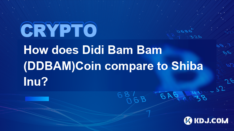 Didi Bam Bam (DDBAM)Coin 与 Shiba Inu 相比如何？