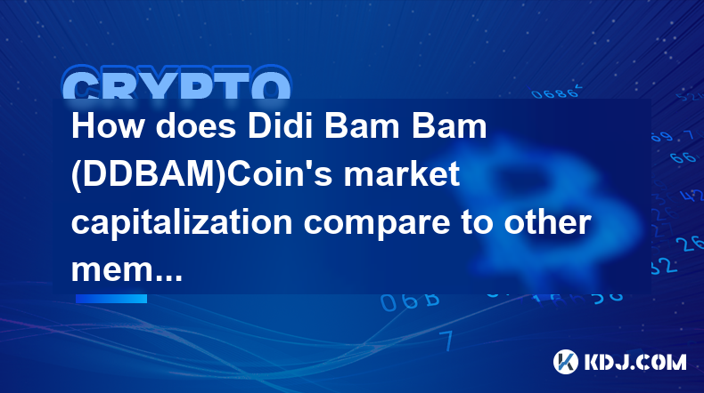 Didi Bam Bam (DDBAM)Coin 的市值與其他 Meme 幣相比如何？