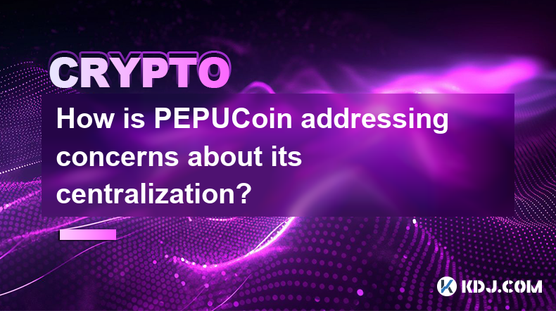 PEPUCoin 如何解决对其中心化的担忧？