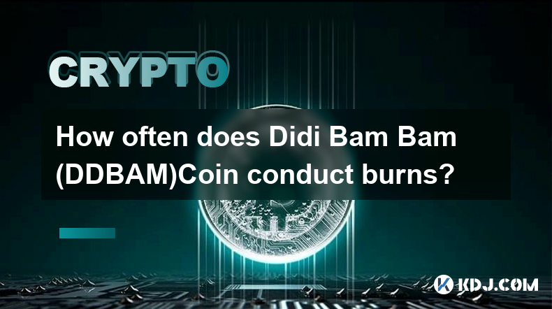 Didi Bam Bam (DDBAM)Coin은 얼마나 자주 화상을 입나요?