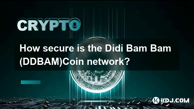 Didi Bam Bam (DDBAM)Coin 網路的安全性如何？