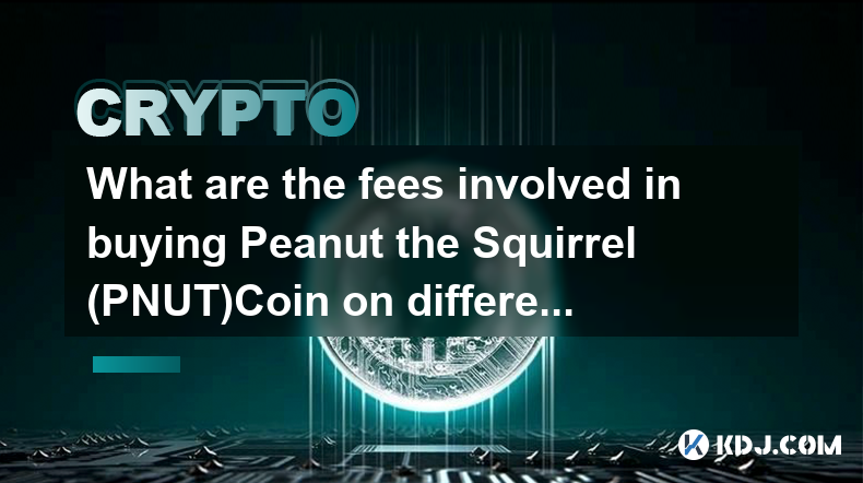 What are the fees involved in buying Peanut the Squirrel (PNUT)Coin on different exchanges?