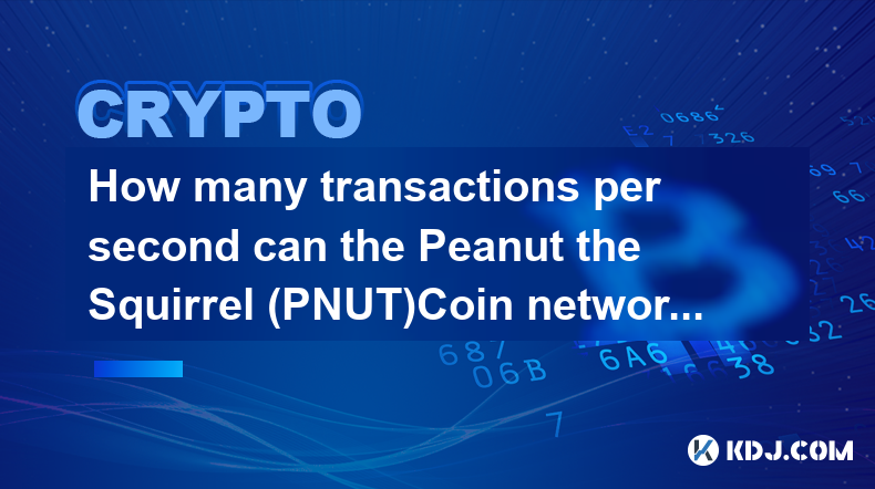 PNUT(Peanut the Squirrel)Coin 네트워크는 초당 몇 건의 트랜잭션을 처리할 수 있습니까?