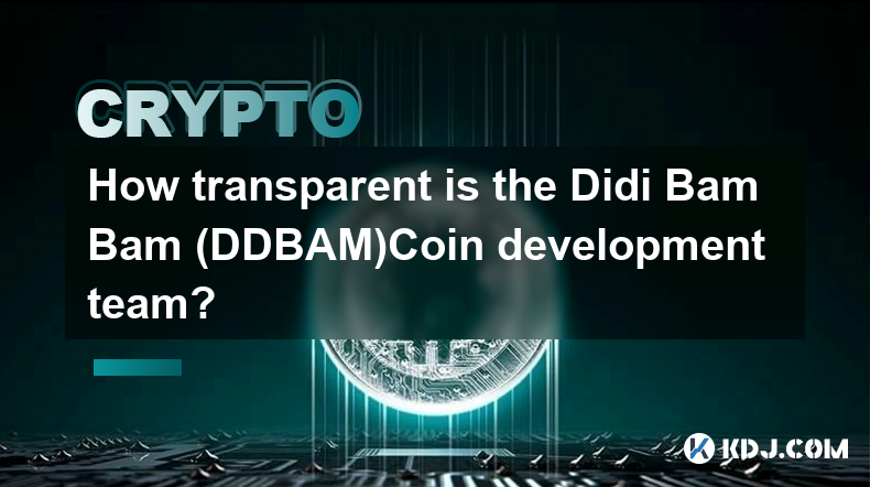 How transparent is the Didi Bam Bam (DDBAM)Coin development team?